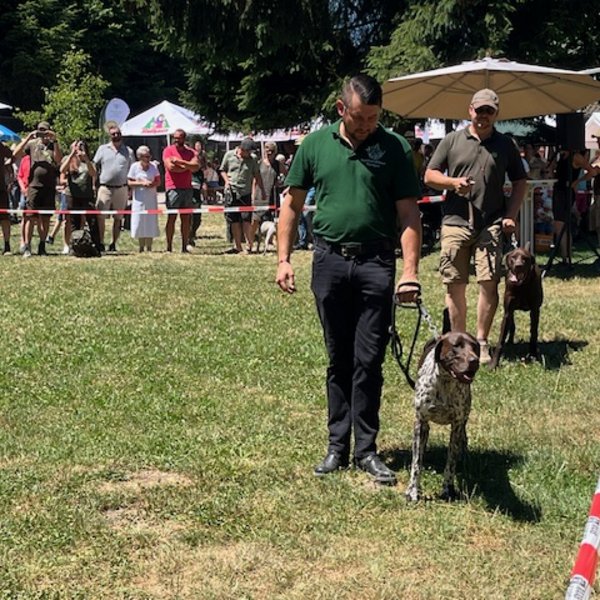 Mann führt Hund an der Leine; sie gehen auf einer Wiese. Im Hintergrund stehen Zuschauer hinter Absperrungen unter Sonnenschirmen bei einer Veranstaltung im Freien.