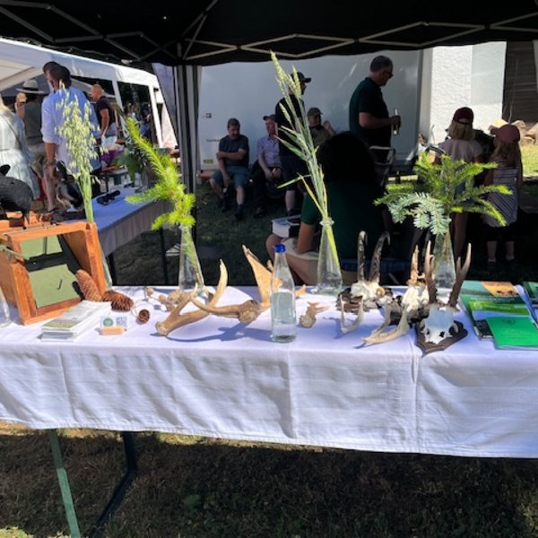 Tisch mit Geweihen und Pflanzen dekoriert. Menschen unter Pavillon scheinen sich bei einem Outdoor-Event zu unterhalten. Hintergrund zeigt weitere Besucher und Informationsmaterialien.